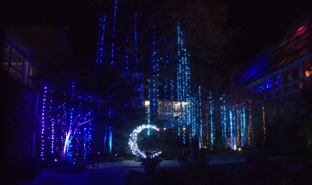 blue and white lights in shape of moon and icicles