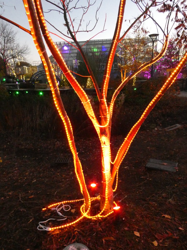 tree covered lines of red lights like lava streams