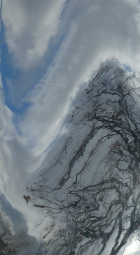 reflection of tree, clouds and sky in public art